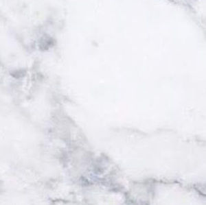 Meet your Posher, Audrey